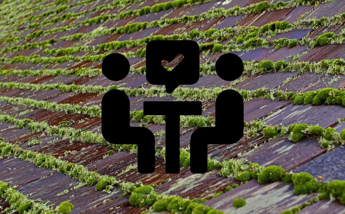 Demoussage-Toiture-Locataire-Proprietaire
